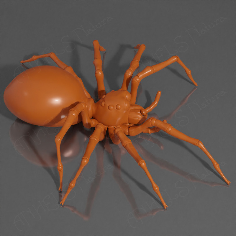Araña modelo 3D