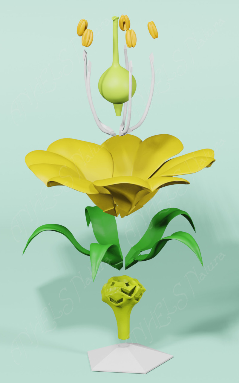 puzzle 3D flor