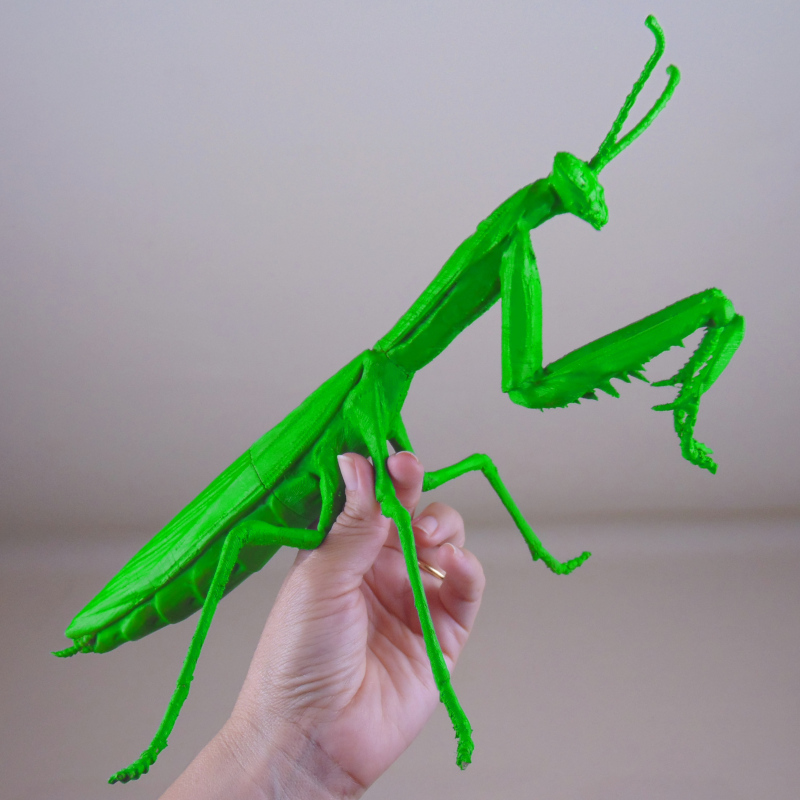 Mantis impresión 3D